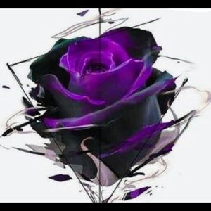 Meet your Posher, Brandie